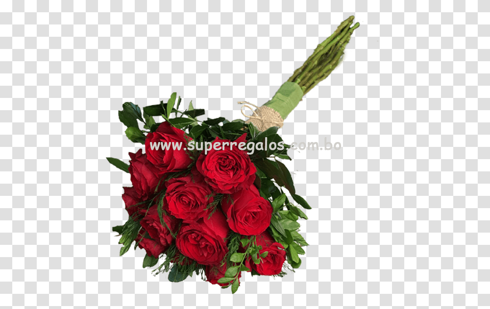 Ramos De Flores Garden Roses, Plant, Flower, Blossom, Person Transparent Png