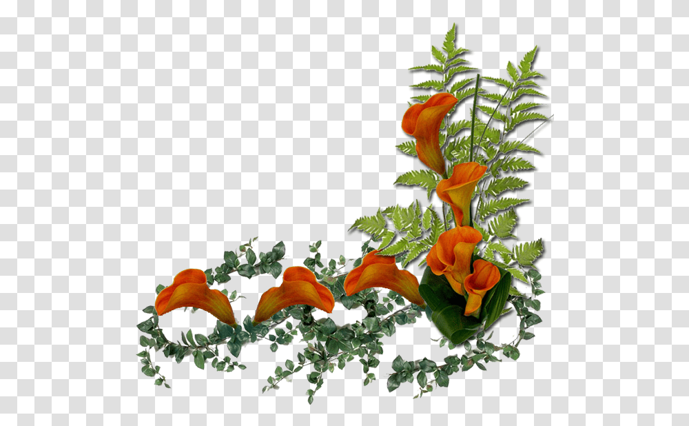 Ramos De Flores Orange Flowers, Plant, Flower Arrangement, Ikebana Transparent Png