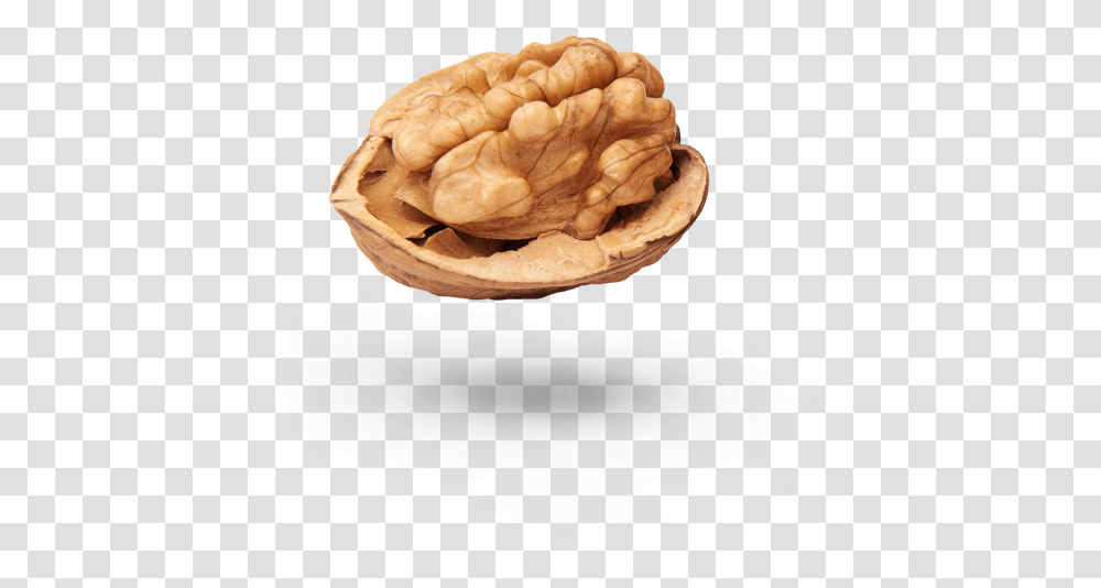 Rancidness Of Walnuts Walnut, Plant, Vegetable, Food Transparent Png