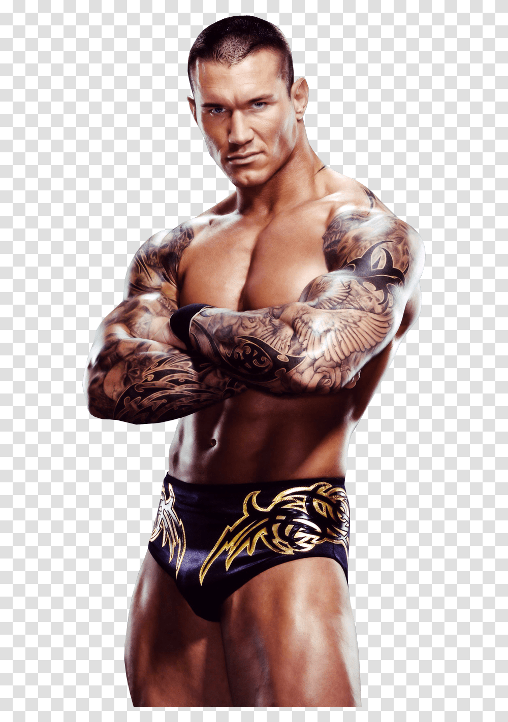 Randy Orton Body Tattoo, Skin, Person, Human, Arm Transparent Png