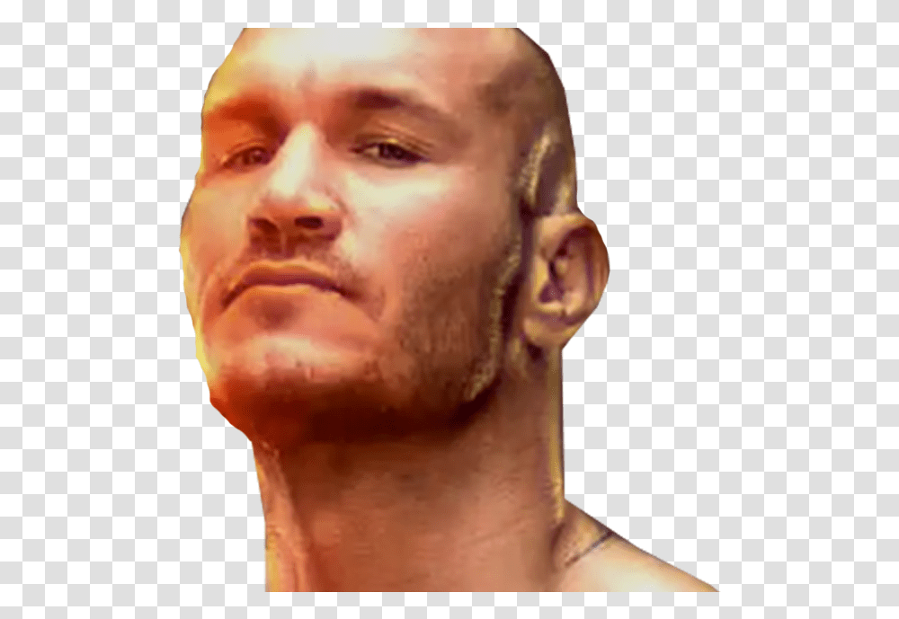 Randy Orton Randy Orton Face, Head, Person, Man, Skin Transparent Png