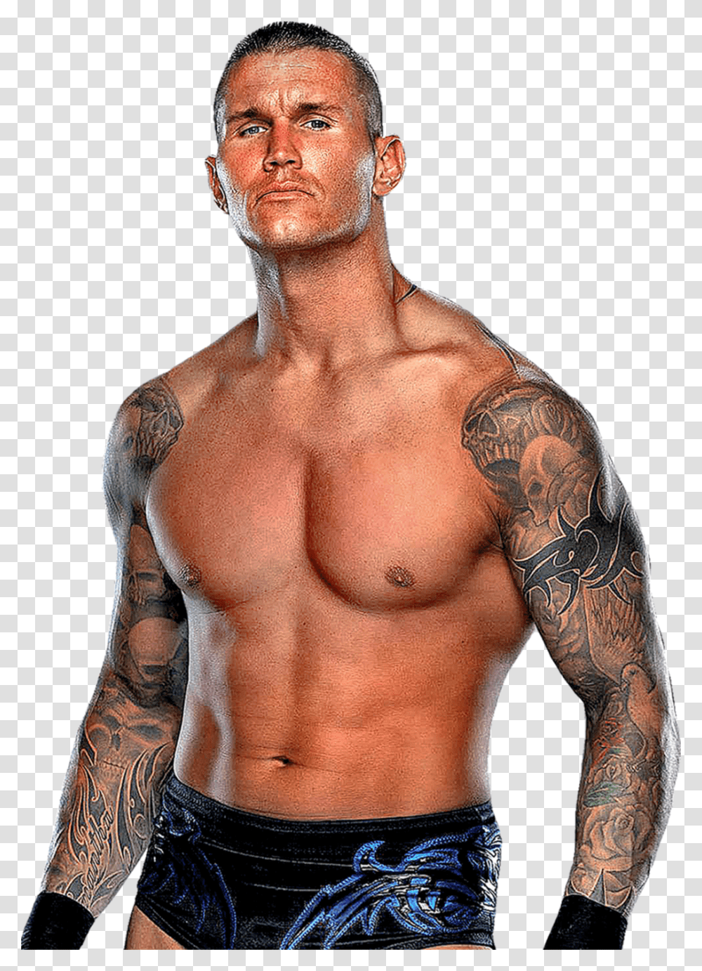 Randy Orton Tattoo Wallpaper Hd 2016 Download Randy Orton Arm Tattoos, Skin, Person, Human, Torso Transparent Png