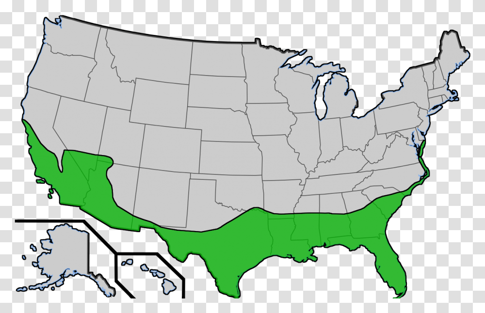 Range Of Sabal Palmetos In The United States Do Palm Trees Grow In The Us, Nature, Outdoors, Map, Diagram Transparent Png