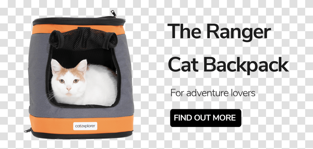 Ranger Cat Backpack Carrier Domestic Short Haired Cat, Pet, Mammal, Animal Transparent Png