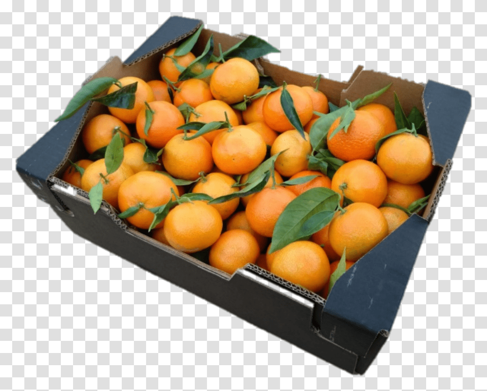 Rangpur, Plant, Citrus Fruit, Food, Produce Transparent Png