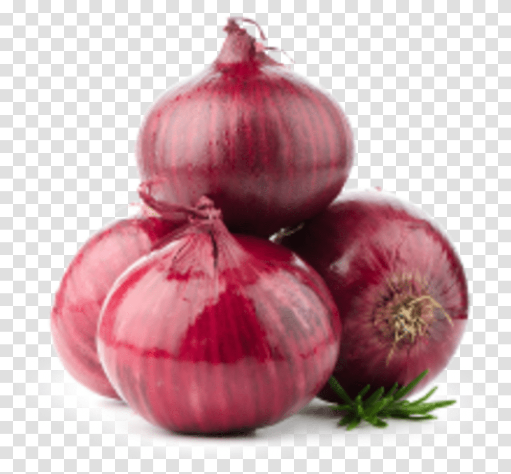Rapid In Field Determination Of Nitrogen In Onions Big Onion, Plant, Shallot, Vegetable, Food Transparent Png