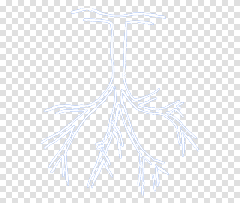 Rappers Drawing Sketch Roy Woods Tree, Plant, Root Transparent Png