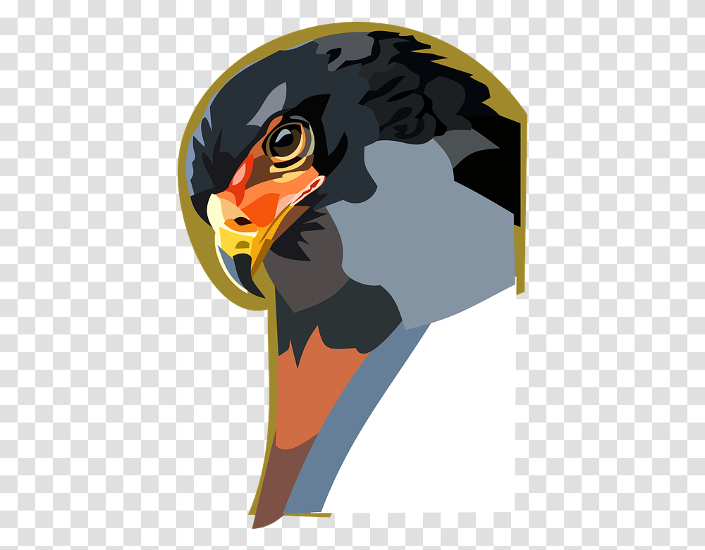 Raptor Animal Bird Digital Golden Eagle, Beak, Mountain, Outdoors, Nature Transparent Png