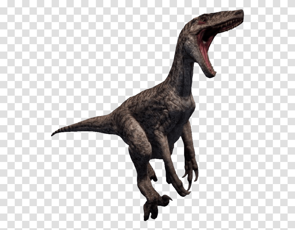 Raptor Image Raptor, Dinosaur, Reptile, Animal, T-Rex Transparent Png