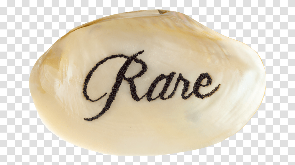 Rare Shell No Bg Calligraphy, Clam, Seashell, Invertebrate, Sea Life Transparent Png
