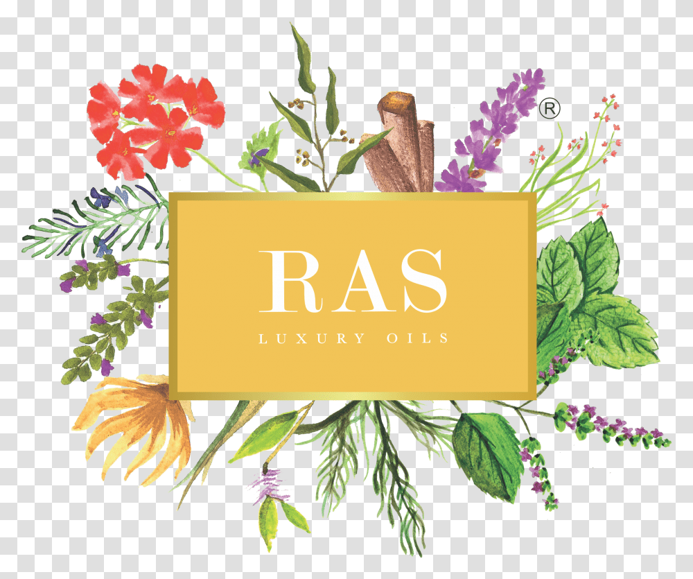 Ras Argan Oil Price, Plant, Floral Design Transparent Png