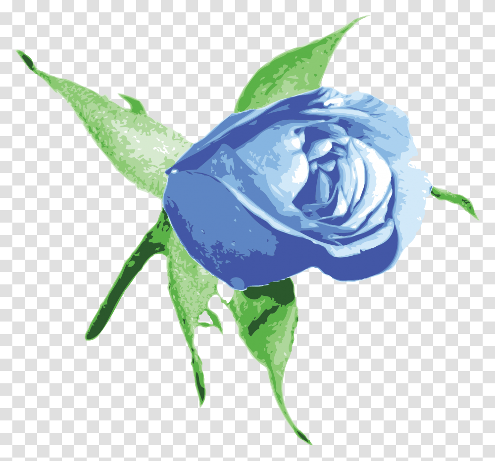 Raseone Rose Blue Clip Arts Background Light Blue Roses, Flower, Plant, Blossom, Bud Transparent Png