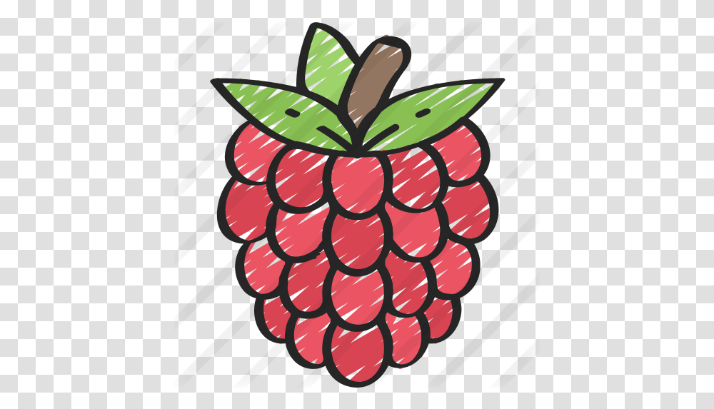 Raspberries Clip Art, Plant, Raspberry, Fruit, Food Transparent Png
