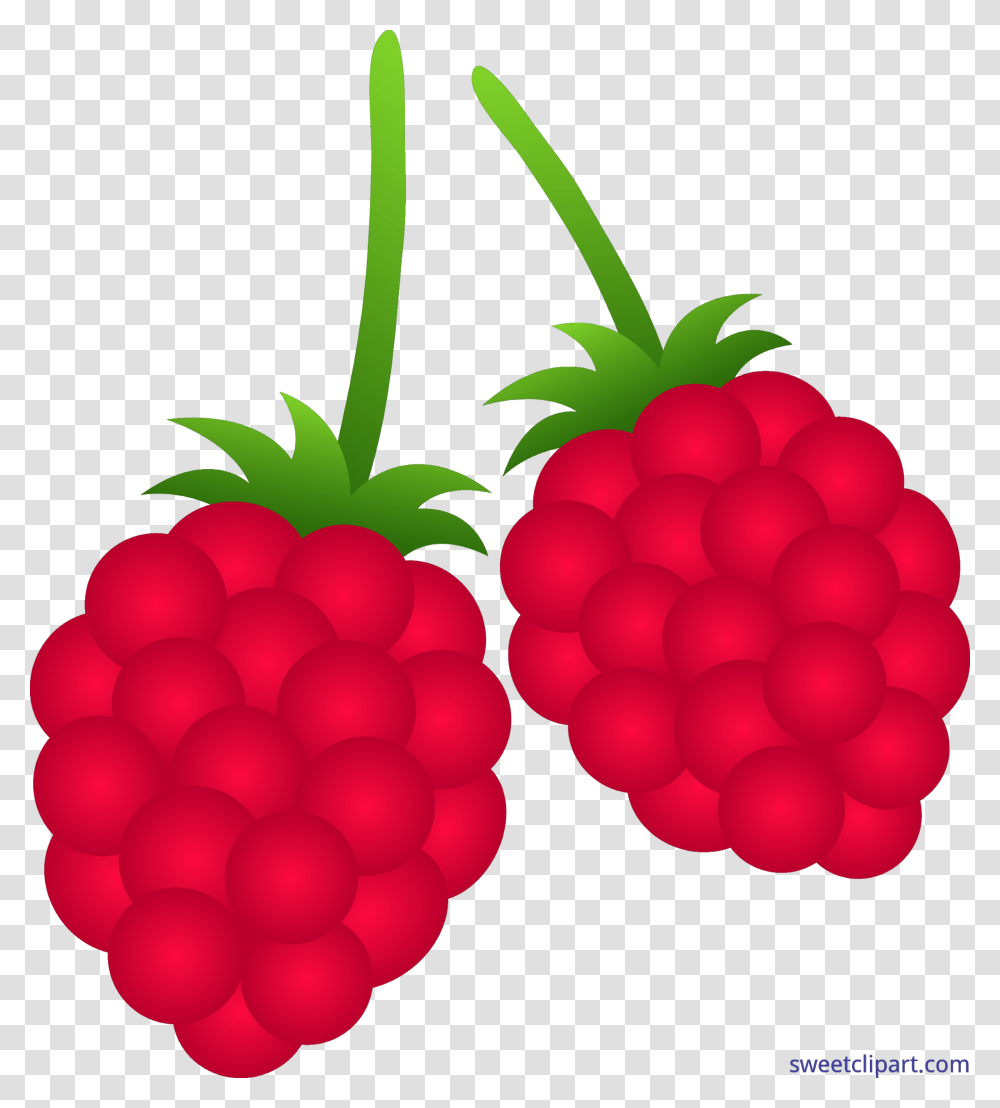 Raspberries Clip Art, Raspberry, Fruit, Plant, Food Transparent Png
