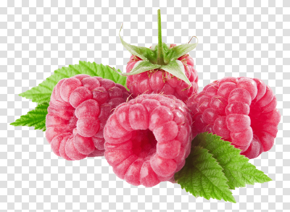 Raspberries Clipart Transparent Png
