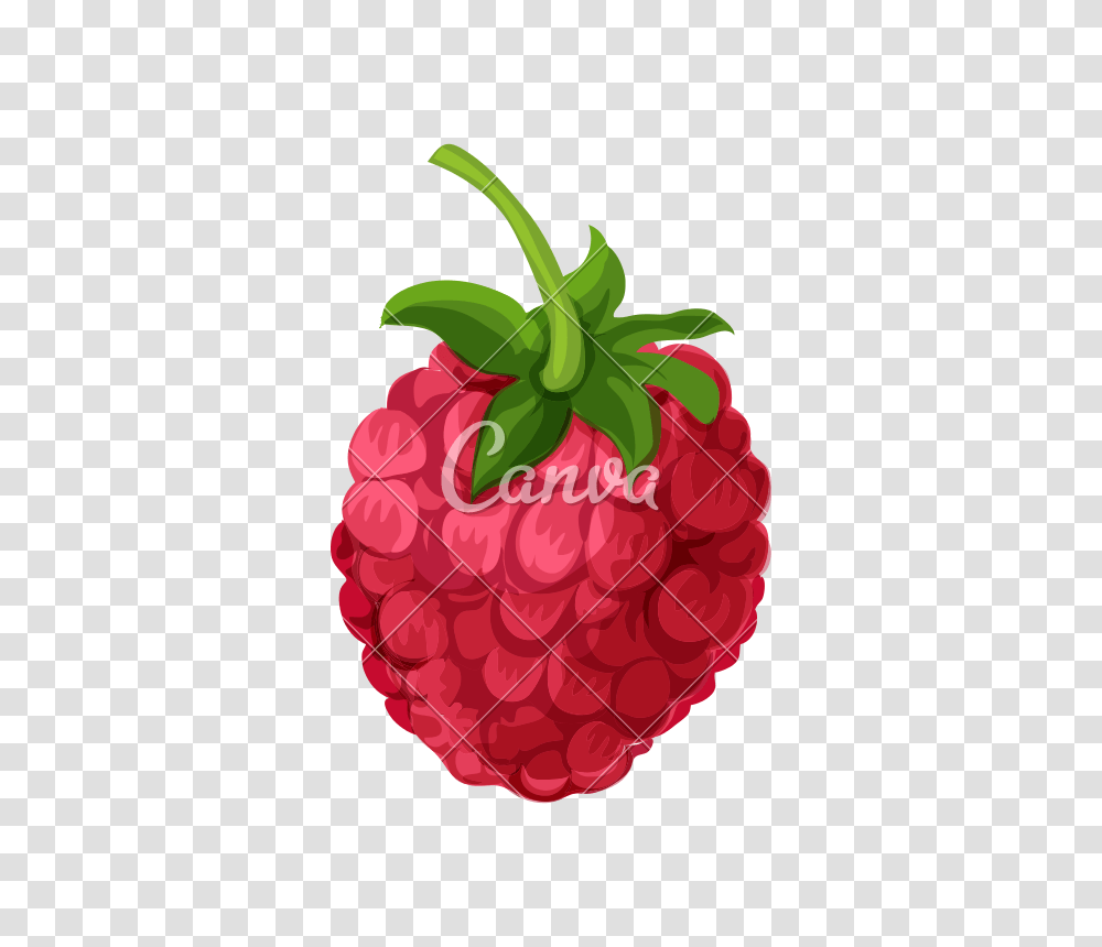 Raspberries Icon, Raspberry, Fruit, Plant, Food Transparent Png