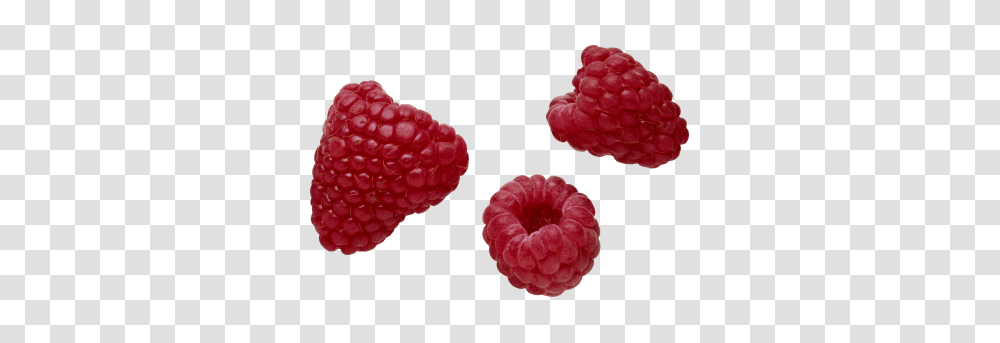 Raspberries In Hand Image, Raspberry, Fruit, Plant, Food Transparent Png
