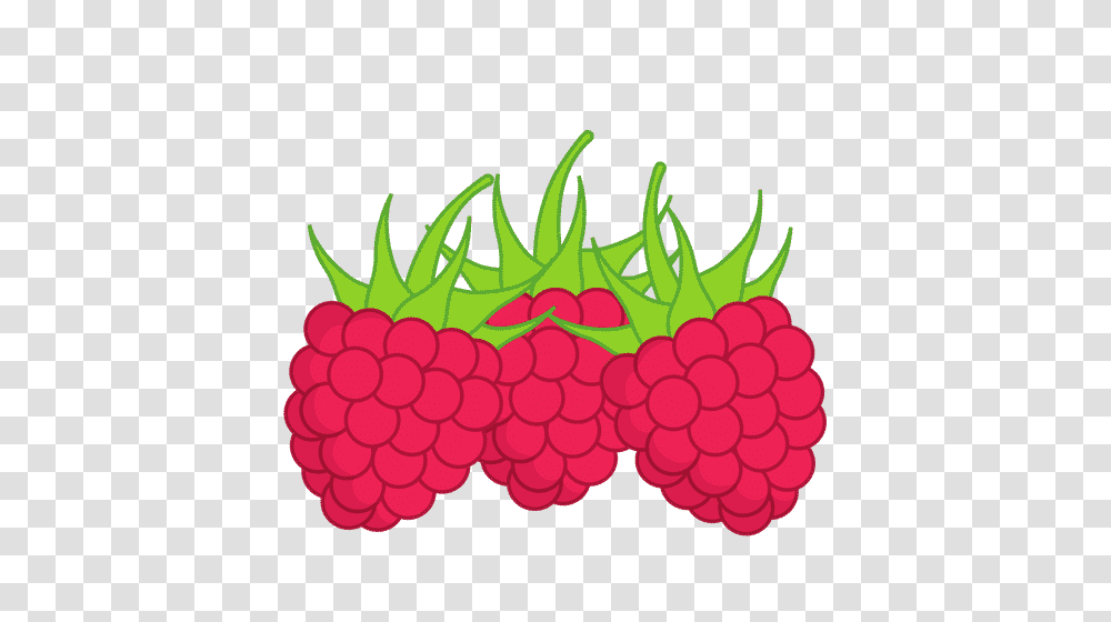 Raspberries, Plant, Fruit, Food, Raspberry Transparent Png