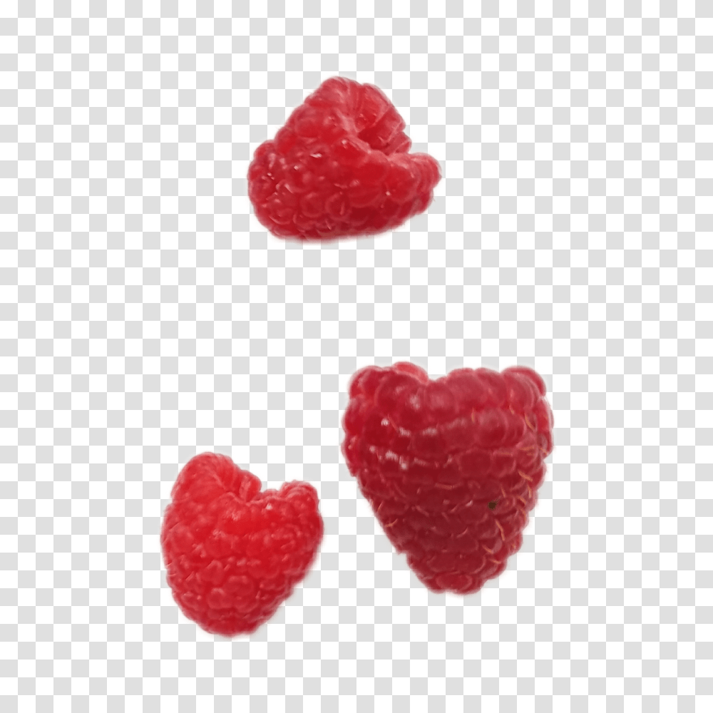 Raspberries Raspberry Aestheticpng Raspberry, Fruit, Plant, Food, Sweets Transparent Png