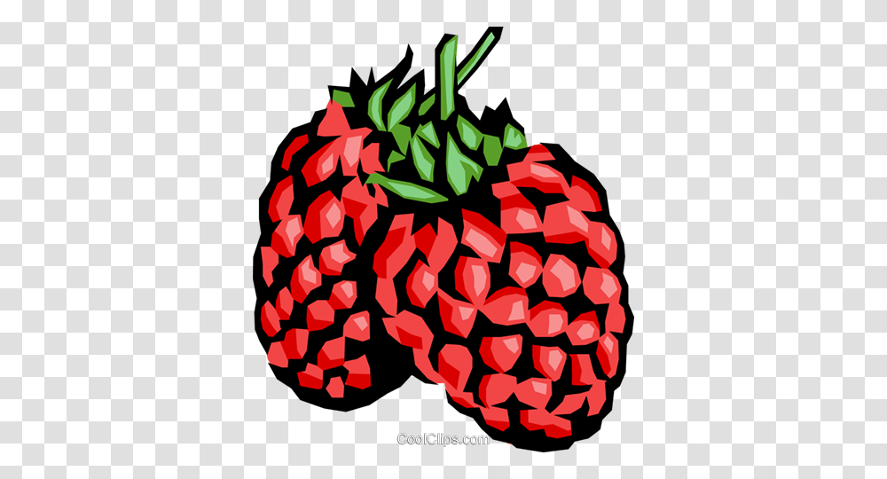 Raspberries Royalty Free Vector Clip Art Illustration, Plant, Raspberry, Fruit, Food Transparent Png