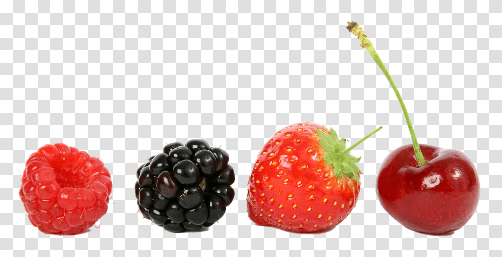 Raspberry 960, Fruit, Strawberry, Plant, Food Transparent Png