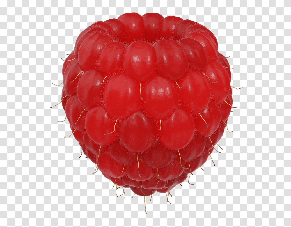 Raspberry 960, Fruit, Plant, Food Transparent Png