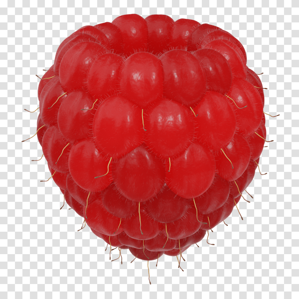 Raspberry Food, Fruit, Plant, Fungus Transparent Png