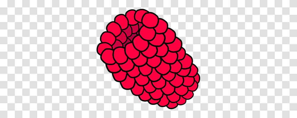 Raspberry Food, Plant, Dahlia Transparent Png