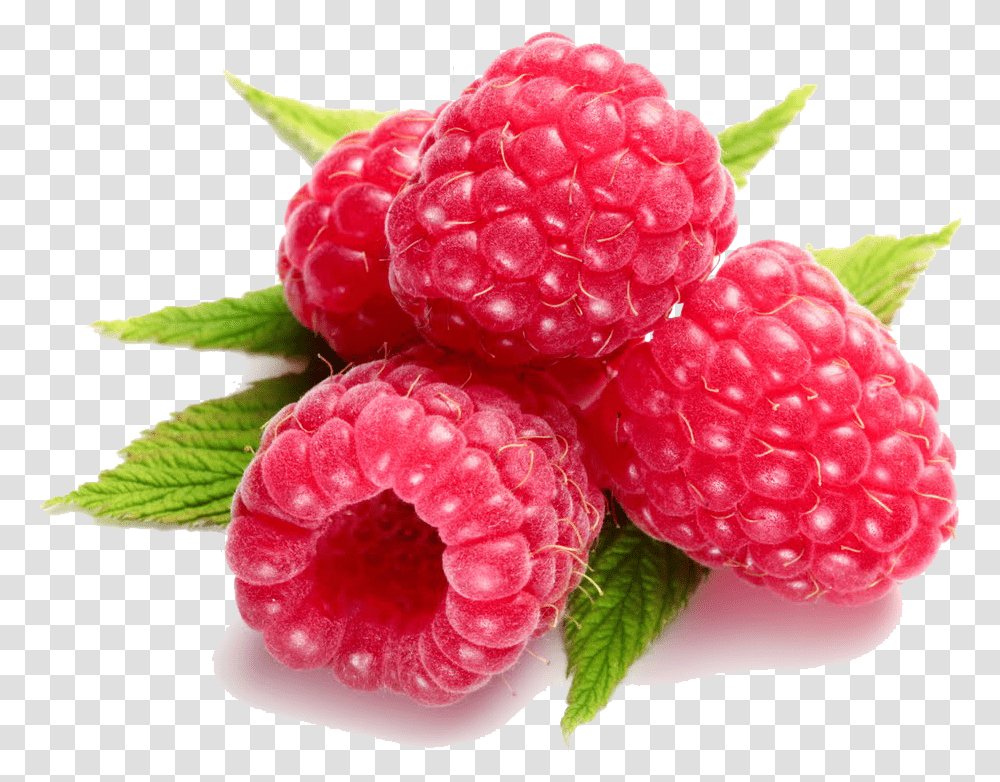 Raspberry Background Raspberry Background, Fruit, Plant, Food, Rose Transparent Png