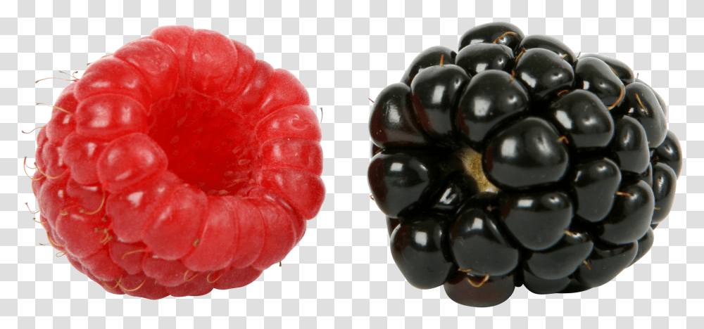 Raspberry Blackberry, Fruit, Plant, Food, Rose Transparent Png