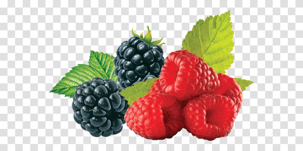 Raspberry Blackberry, Fruit, Plant, Food Transparent Png