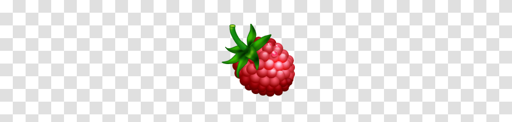 Raspberry Clip Art Look, Fruit, Plant, Food Transparent Png