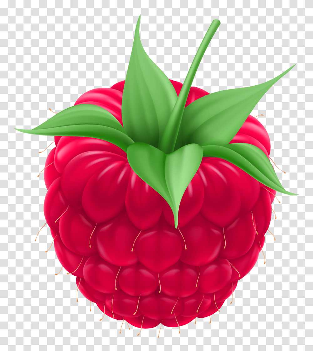 Raspberry Clip Art Transparent Png