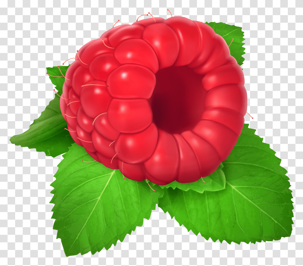 Raspberry Clipart, Fruit, Plant, Food Transparent Png