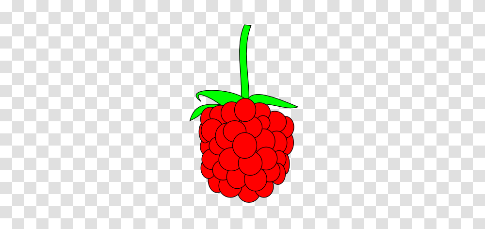 Raspberry Clipart Raspberry Clip Art Images, Plant, Fruit, Food, Cherry Transparent Png