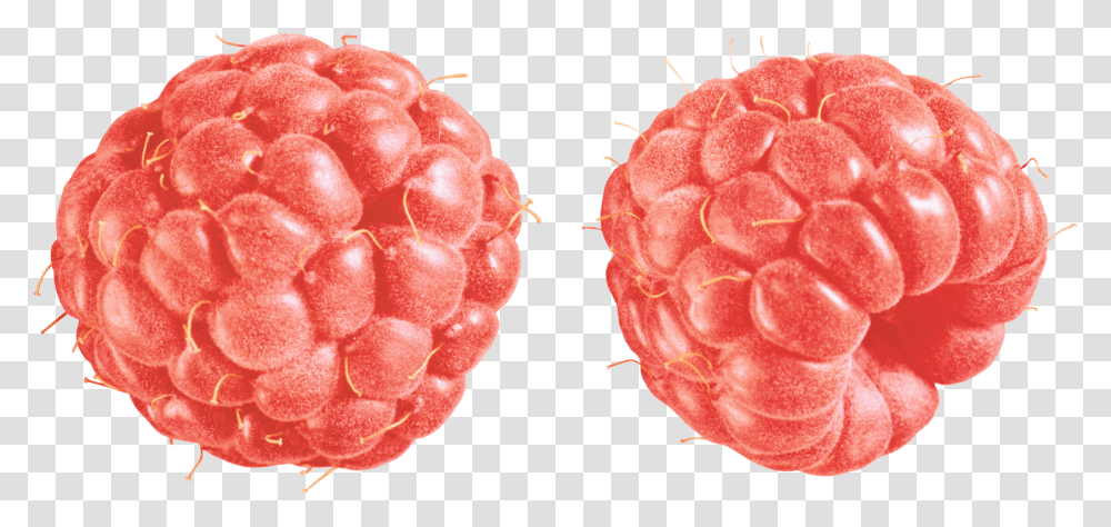 Raspberry Duo Vintage, Fruit, Plant, Food, Rose Transparent Png