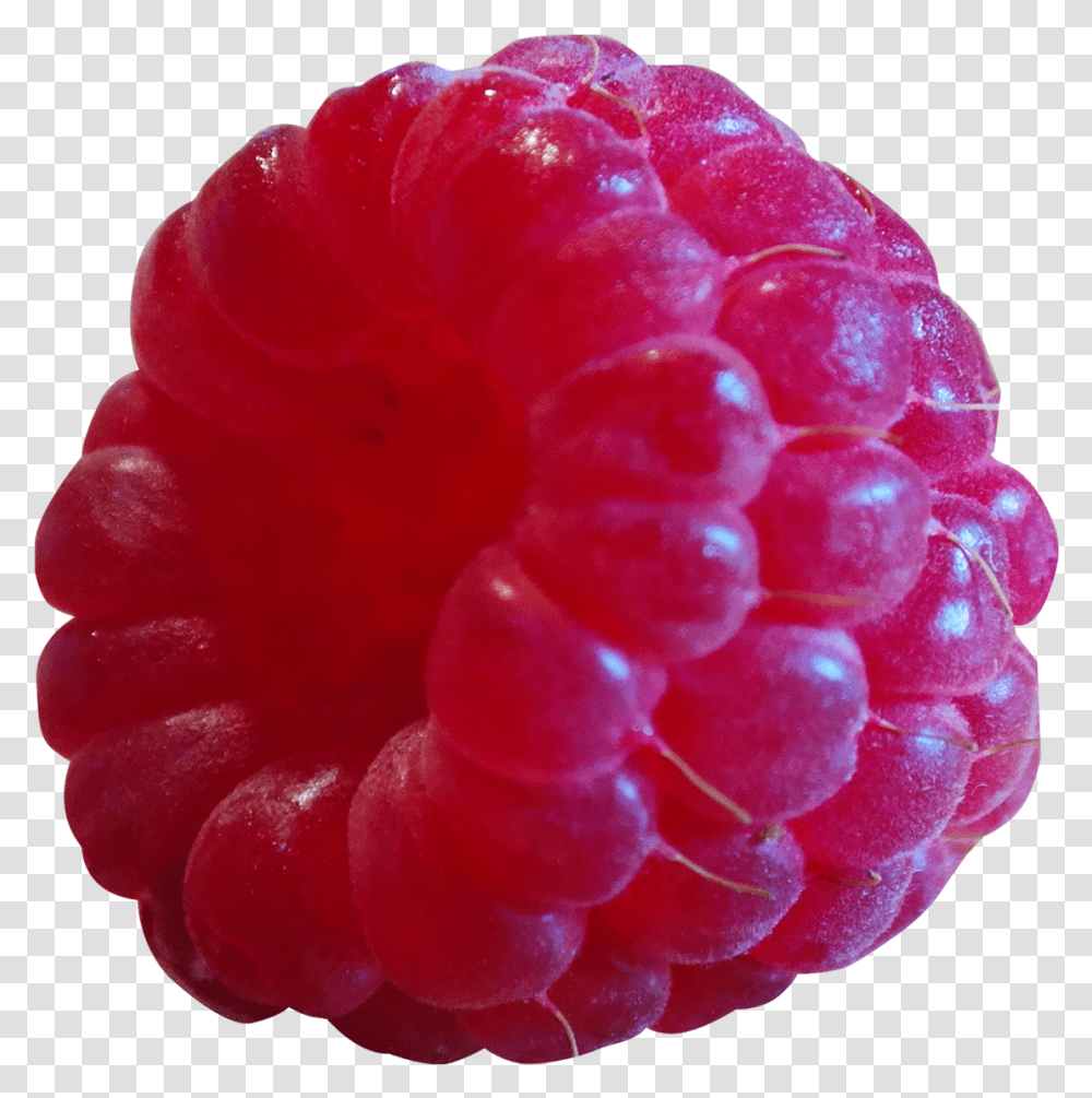 Raspberry Emoji Raspberry Raspberry, Fruit, Plant, Food, Rose Transparent Png