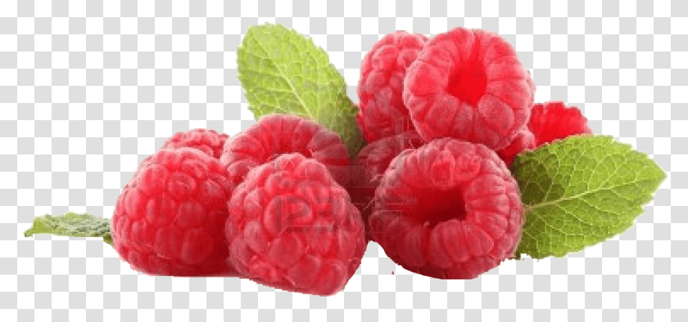 Raspberry File, Fruit, Plant, Food Transparent Png