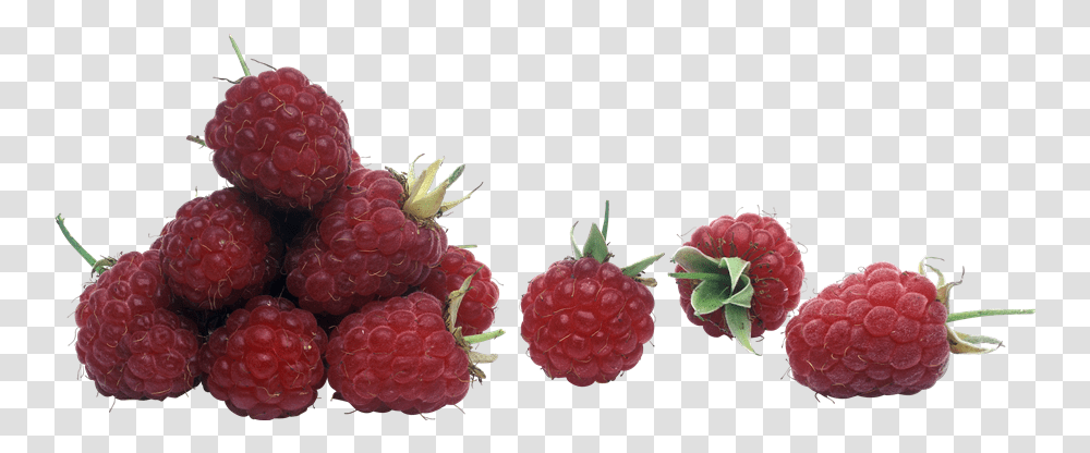 Raspberry File Raspberry, Fruit, Plant, Food Transparent Png
