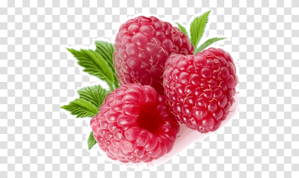 Raspberry Free Download, Fruit, Plant, Food Transparent Png