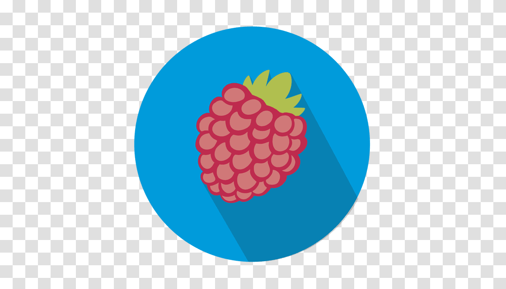 Raspberry Fruit Circle Icon, Hand, Plant, Food Transparent Png