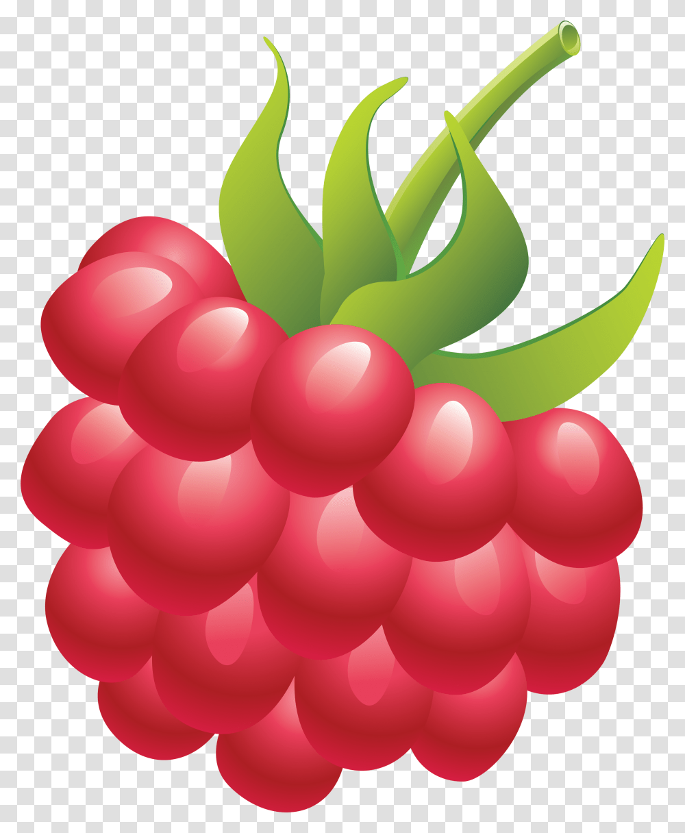 Raspberry, Fruit, Plant, Balloon, Food Transparent Png