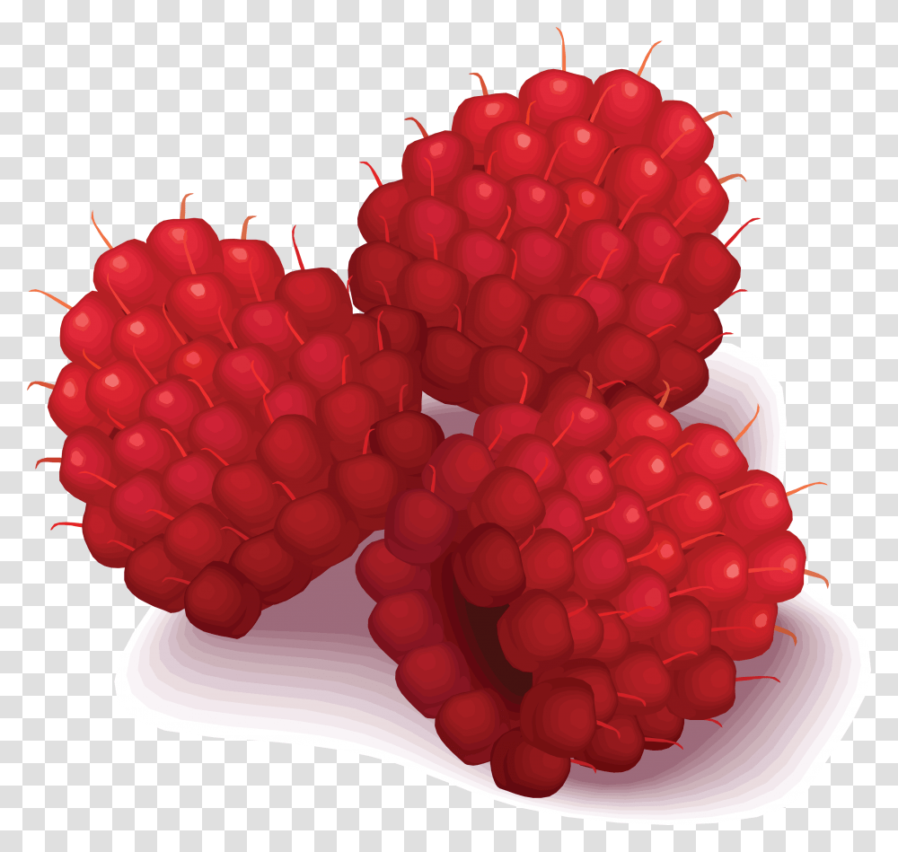 Raspberry, Fruit, Plant, Food, Birthday Cake Transparent Png