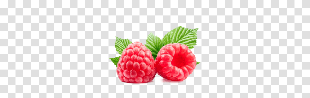 Raspberry, Fruit, Plant, Food, Jar Transparent Png