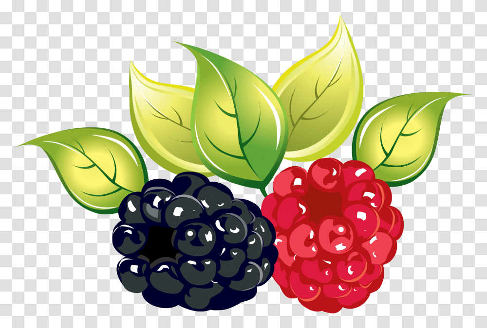 Raspberry, Fruit, Plant, Food, Leaf Transparent Png