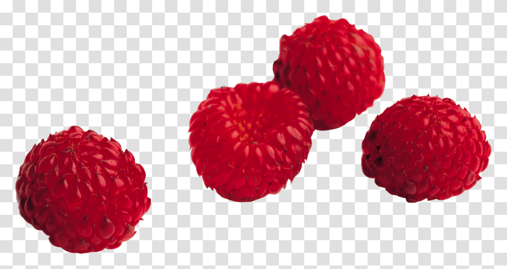 Raspberry, Fruit, Plant, Food, Rose Transparent Png