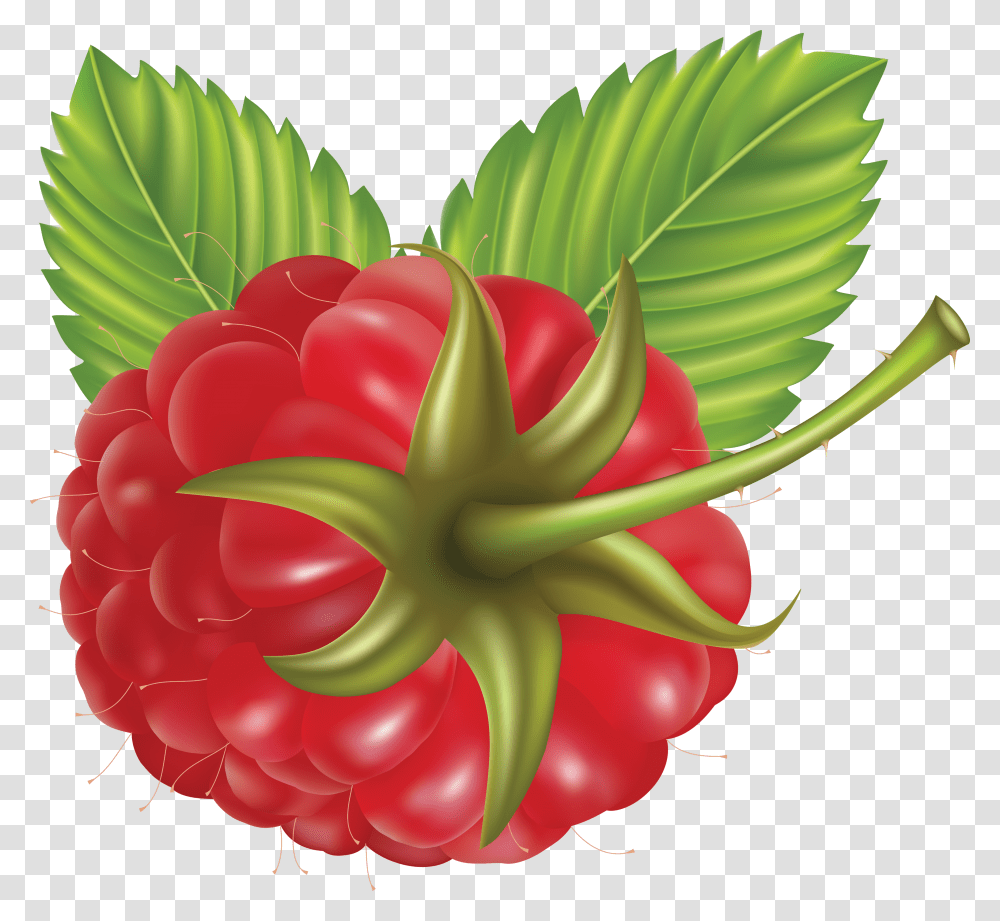 Raspberry, Fruit, Plant, Food, Strawberry Transparent Png