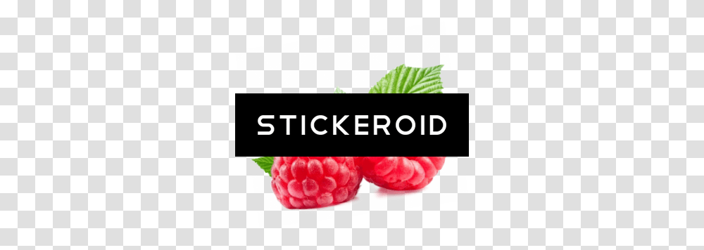 Raspberry, Fruit, Plant, Food Transparent Png