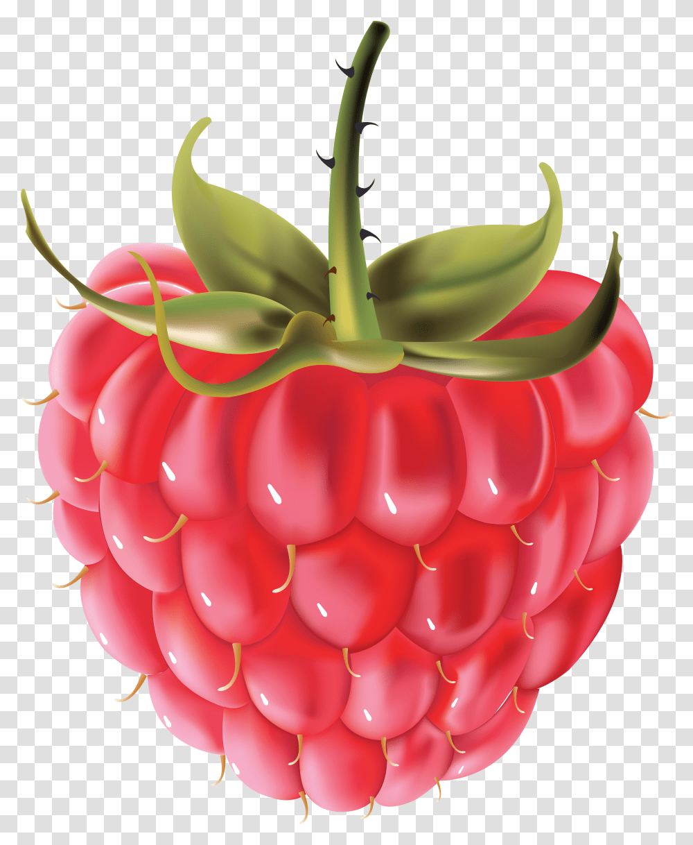 Raspberry, Fruit, Plant, Food Transparent Png