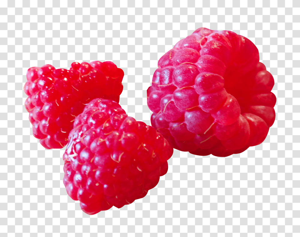 Raspberry, Fruit, Plant, Food Transparent Png